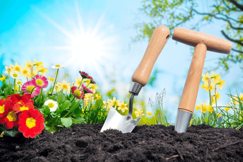 Tips voor natuurlijk en duurzaam tuinonderhoud in de zomer